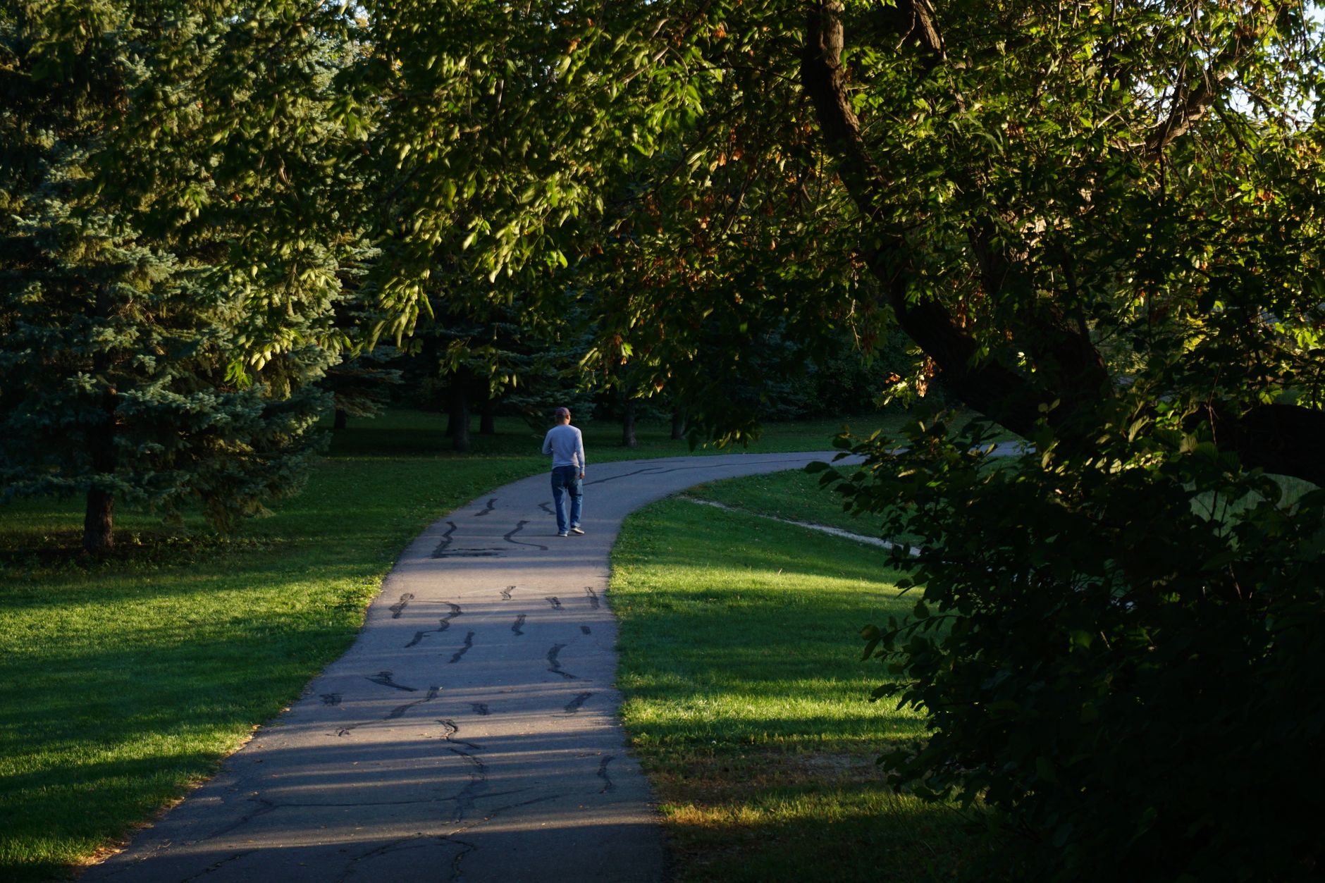 Personne marchant seule sur une allée sinueuse dans un parc verdoyant, entourée de grands arbres