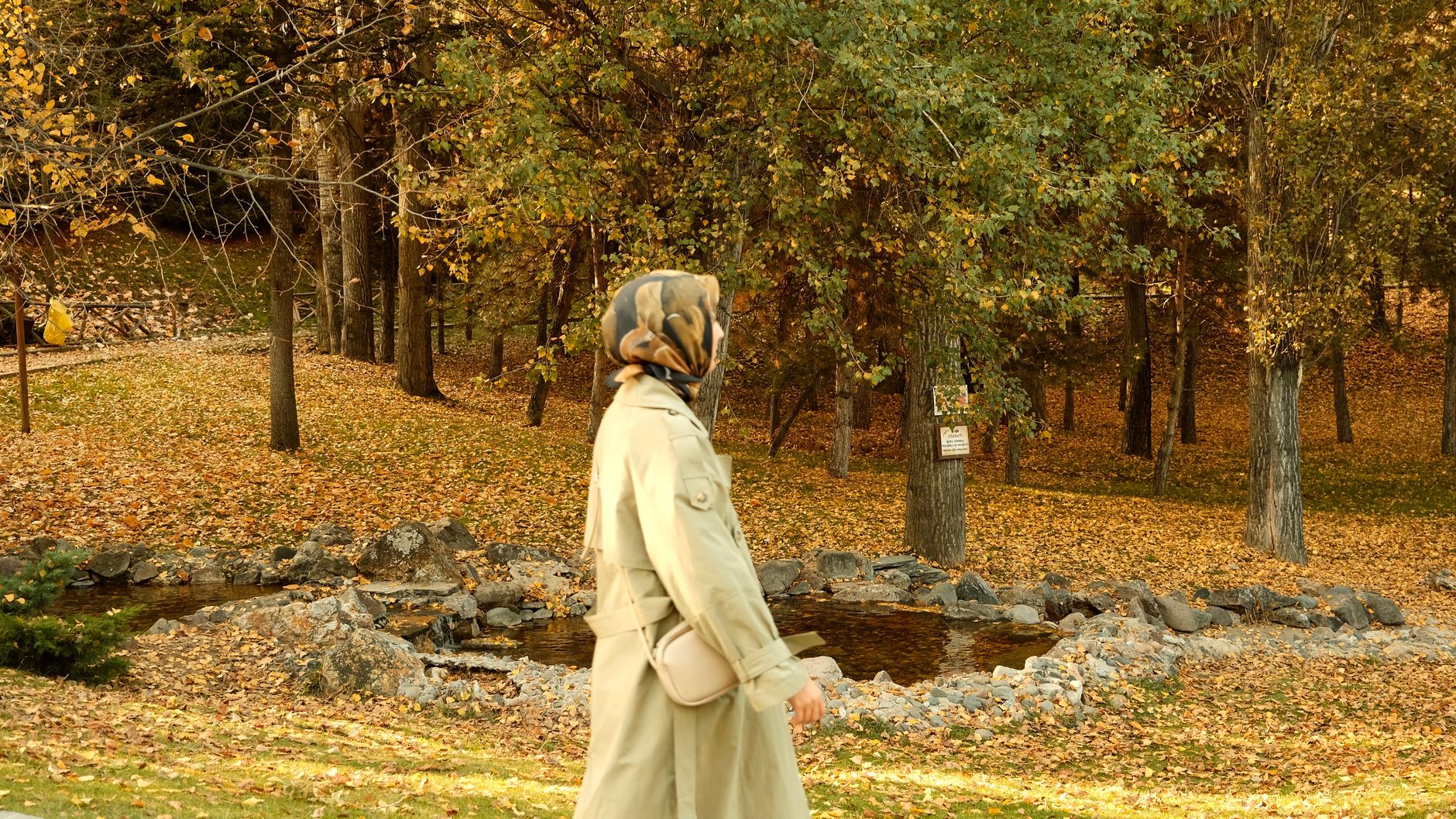 Femme marchant calmement dans un parc en automne, entourée de feuilles dorées